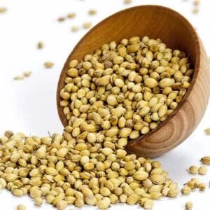 Coriander Seed Supplier Exporter in Benin