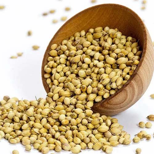 Coriander Seed Supplier Exporter in Benin