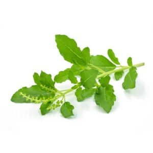 Tulasi